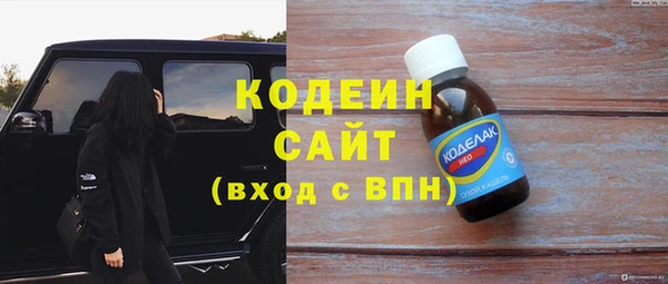 тгк Инсар
