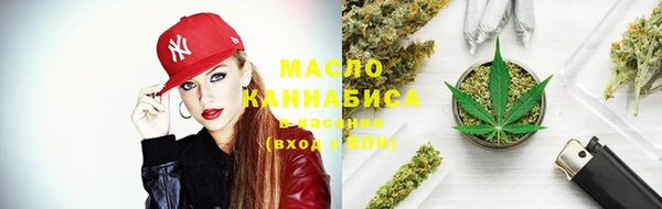 тгк Инсар