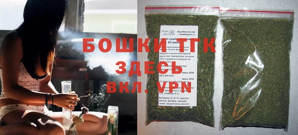 тгк Инсар