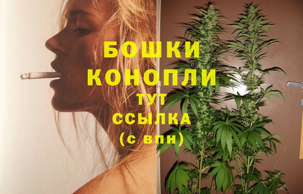 тгк Инсар
