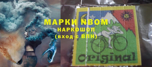 тгк Инсар