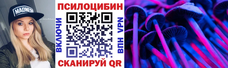 Купить закладки  Кудымкар  Псилоцибиновые грибы мицелий 